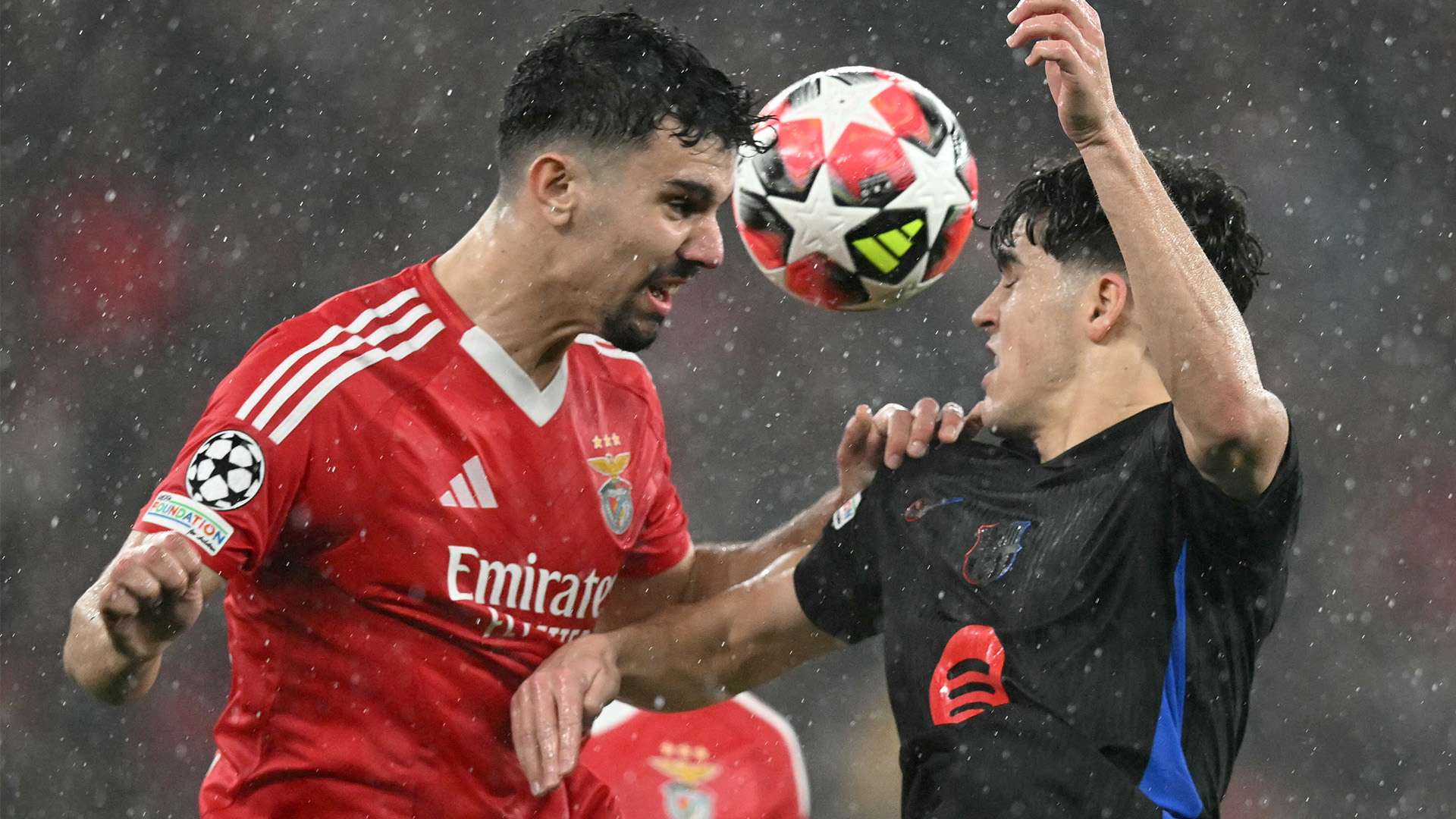 同样不陌生 同样不陌生