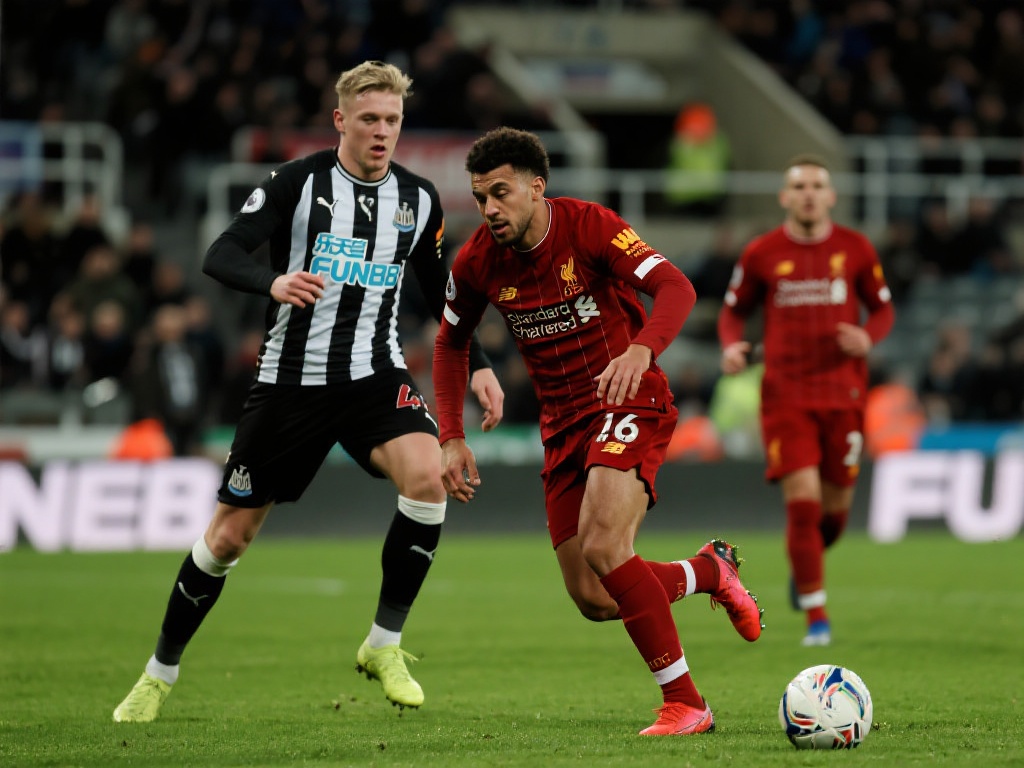 的长期竞争 的长期竞争